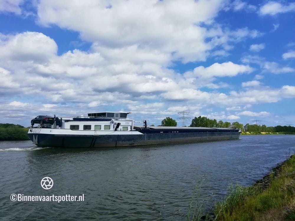 Celeste — thumbnail 2